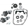 CAMS 551GEAR 99-06