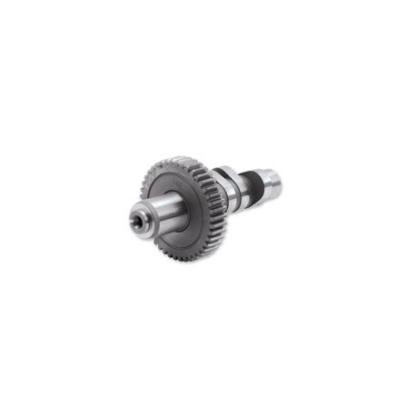 CAMSHAFT GEAR 513 ALTERNA