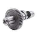 CAMSHAFT GEAR 513 ALTERNA