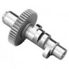 CAMSHAFT GEAR 585 GENERAT