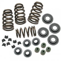 SPRINGS VLV .650" 05-17TC