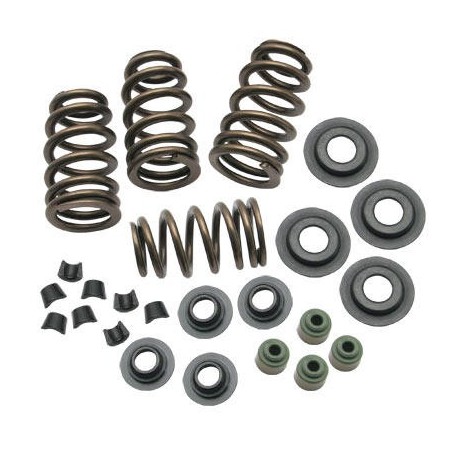 SPRINGS VLV .650" 05-17TC