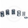 VALVE SPRING KIT .480 36-