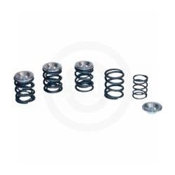 VALVE SPRING KIT .480 36-