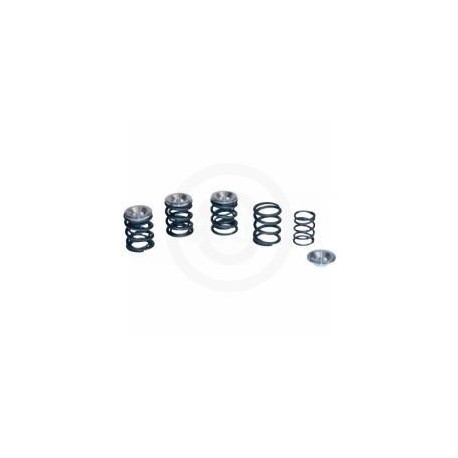 VALVE SPRING KIT .480 36-