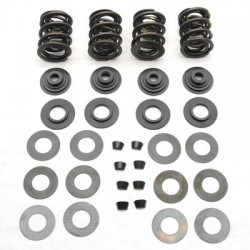 VALVE SPRING KIT .590 81-