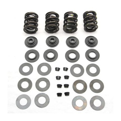 VALVE SPRING KIT .590 81-