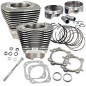 CYLINDER KIT 124"TC GRAY