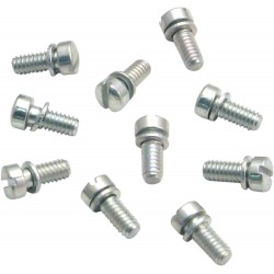 SCREW ACCL PMP CAP 10PK