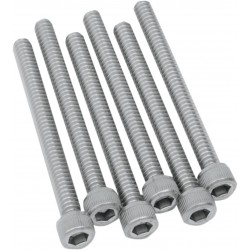 Pack de 6 Tornillos de Disco Difusor 4" SS BOLTS