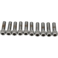 1/4-28 X 5/8 SOCKET HEAD