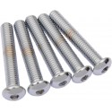 Pack de 5 Tornillos Cromados de Cabeza Redonda Diámetro 3/8"-16 y Largo 2"-1/4